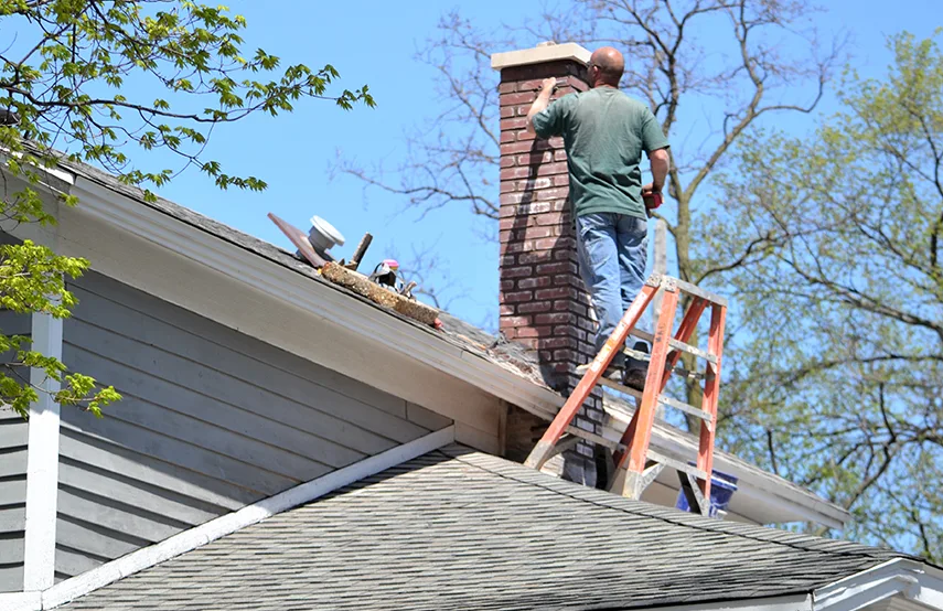 Chimney & Fireplace Inspections Services in Rahway, NJ